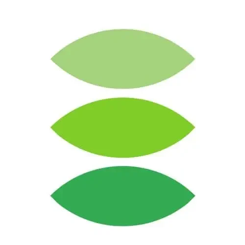 Logo del proyecto Engaging Youth in a Digital Green Future 2.0